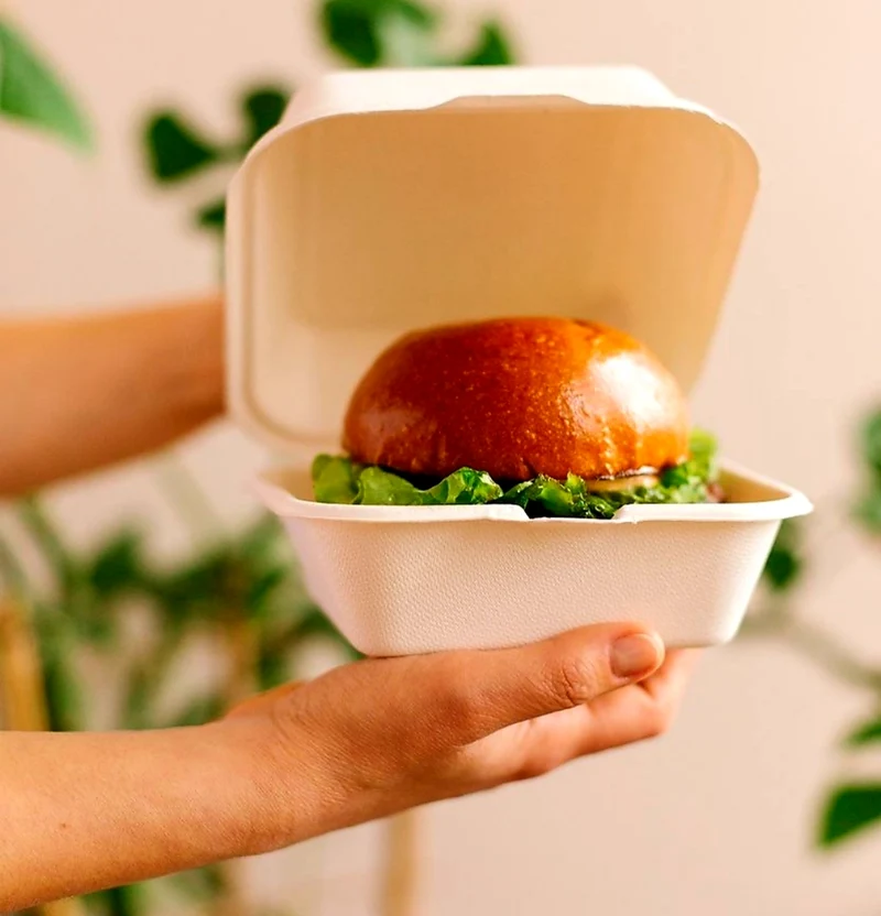 Envase Caña de Azúcar Hamburguesa 15x15x7,7cm - 500ml