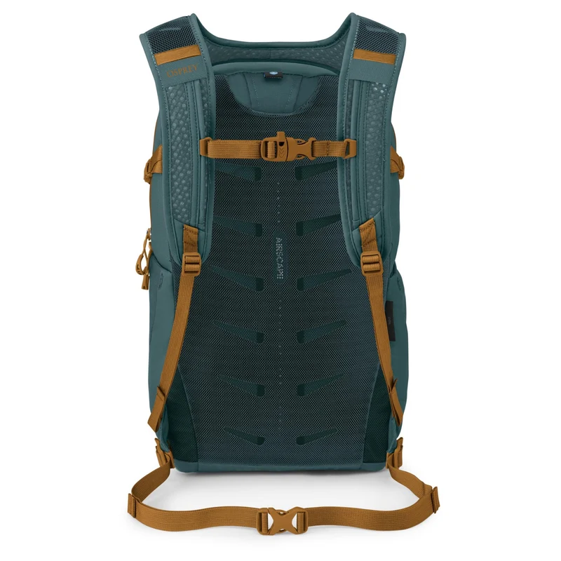 Osprey Daylite Plus - Mochila 14" 48 cm (torrent blue)
