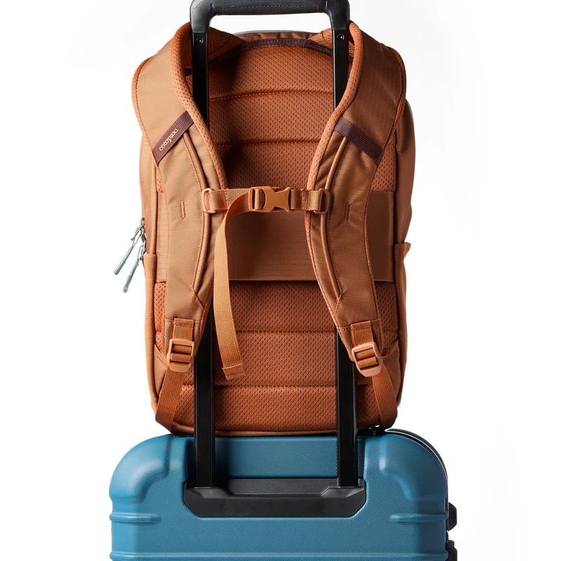 Cotopaxi Allpa 18L Daypack - Mochila 43 cm (whiskey)
