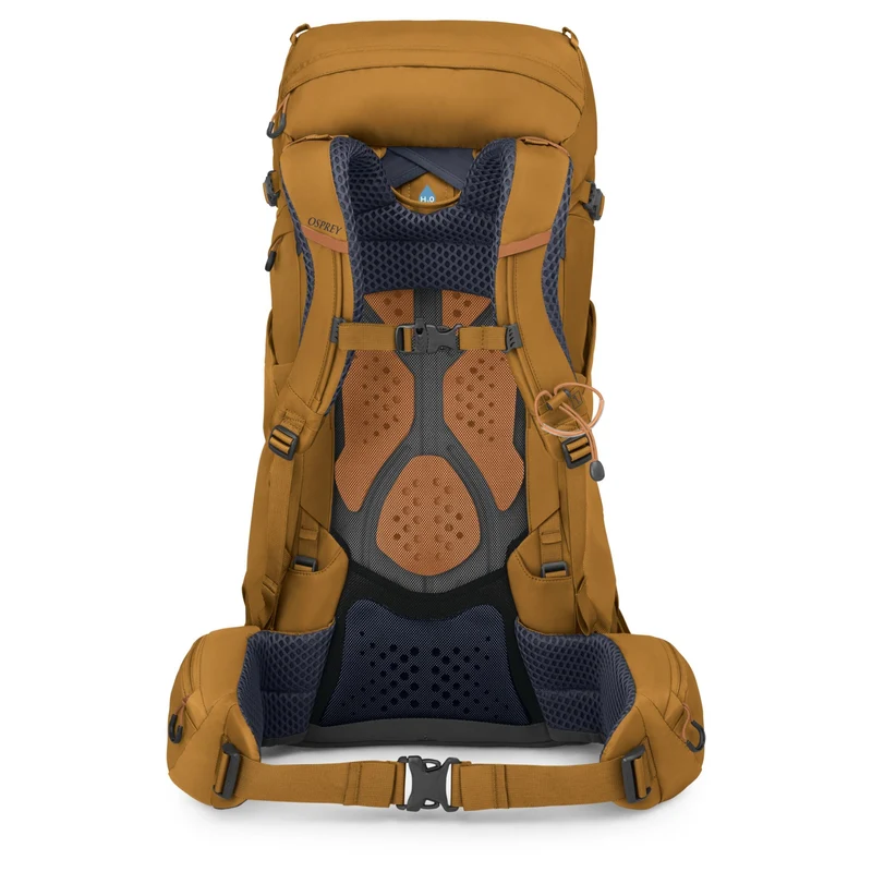 Osprey Kyte 36 Women - Mochila de senderismo XS-S 66 cm (barley brown)