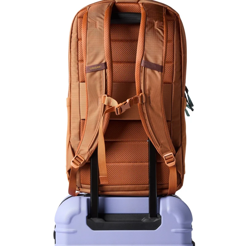 Cotopaxi Allpa 26L Daypack - Mochila 52 cm (whiskey)