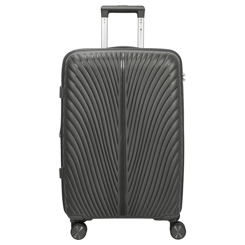 CHECK.IN Sydney - Trolley de 4 ruedas M 66 cm (anthrazit)