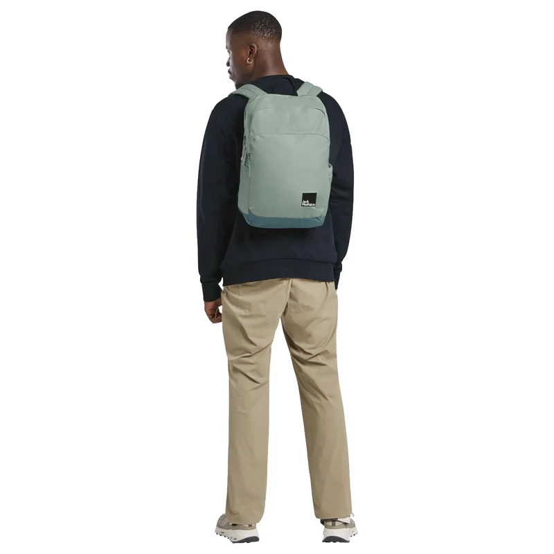 Jack Wolfskin Terraview 20 - Mochila 43 cm (green zinnia)
