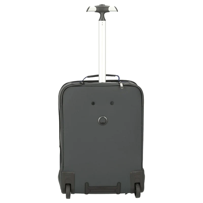 Delsey Paris Parvis Plus WPS Business - 2-Rollen - Trolley mochila 17.3" 51 cm (grau)