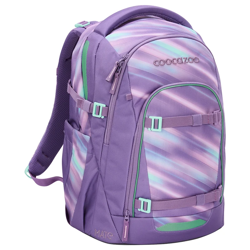 Coocazoo Mate - Mochila escolar 48 cm (Arctic Lights)