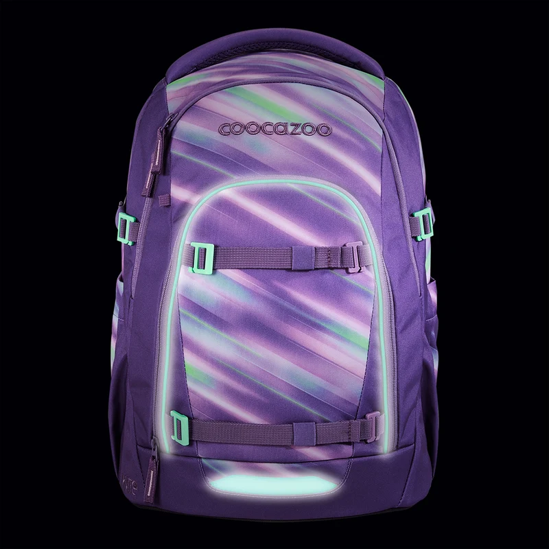 Coocazoo Mate - Mochila escolar 48 cm (Arctic Lights)