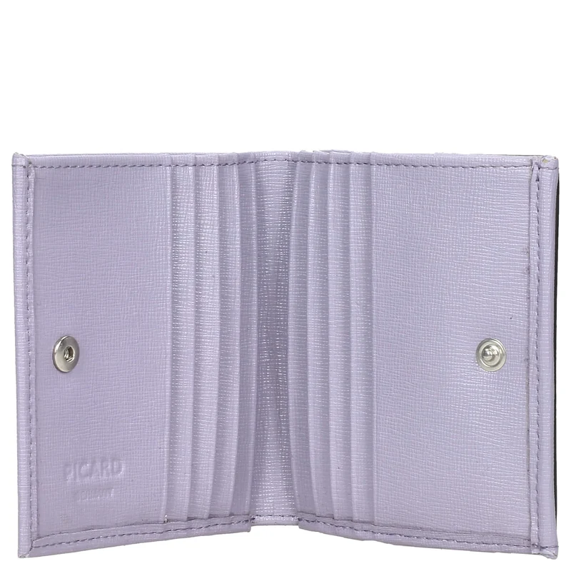 Picard Universe 1 - Cartera 10cc 10 cm (lilac)