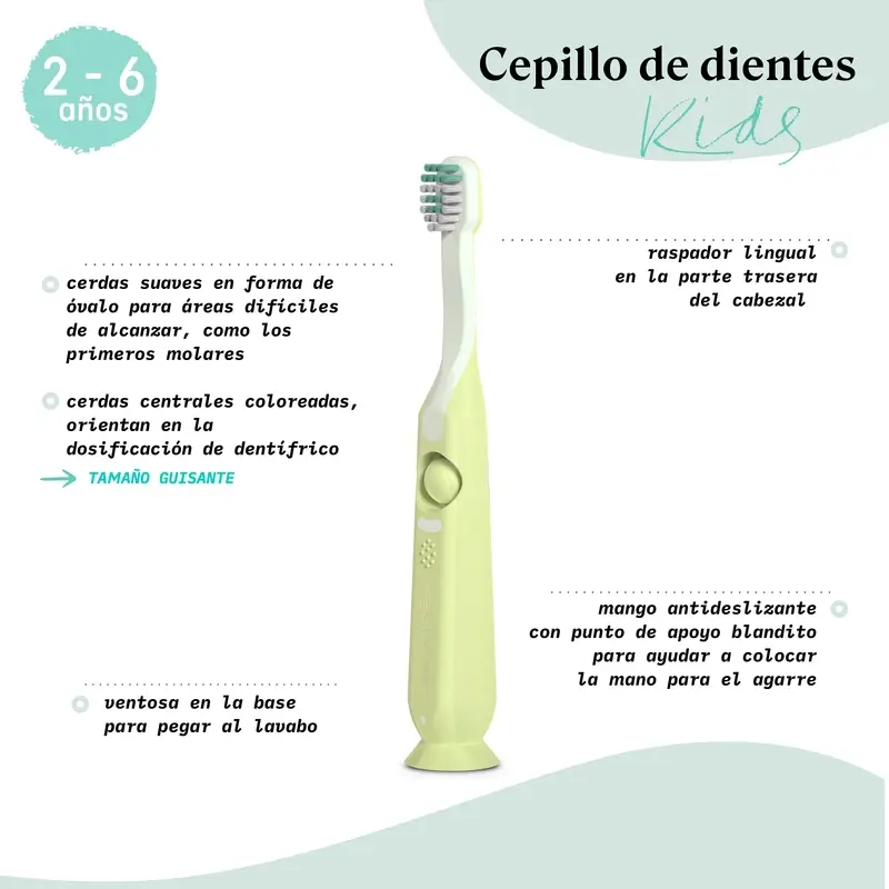 Suavinex Cepillo De Dientes Infantil De 2 A 6 Años, Verde